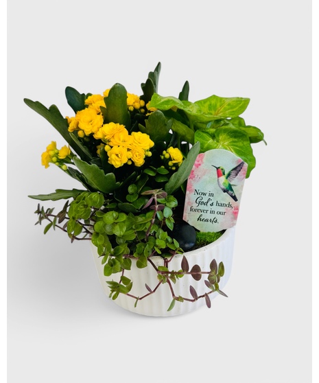  A dish garden of green tropical plants and a blooming Kalanchoe. This garden is accented with your choice of a keepsake sympathy pick in a white ceramic planter.