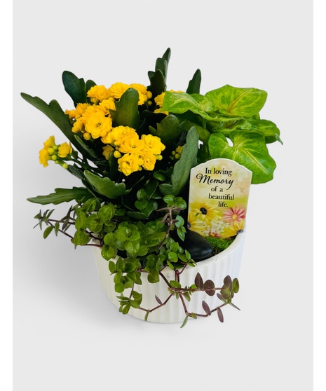 Sympathy Garden