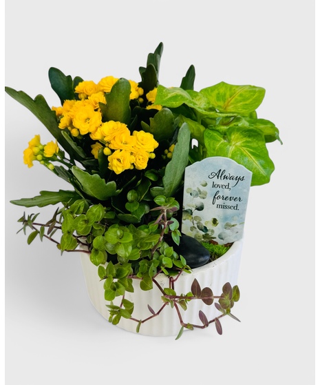  A dish garden of green tropical plants and a blooming Kalanchoe. This garden is accented with your choice of a keepsake sympathy pick in a white ceramic planter.