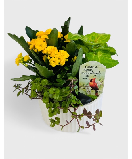  A dish garden of green tropical plants and a blooming Kalanchoe. This garden is accented with your choice of a keepsake sympathy pick in a white ceramic planter.