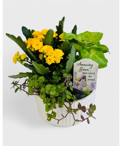  A dish garden of green tropical plants and a blooming Kalanchoe. This garden is accented with your choice of a keepsake sympathy pick in a white ceramic planter.