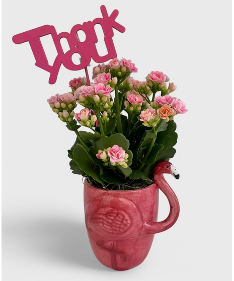 A flamingo mug planter with a long lasting pink kalanchoe! 