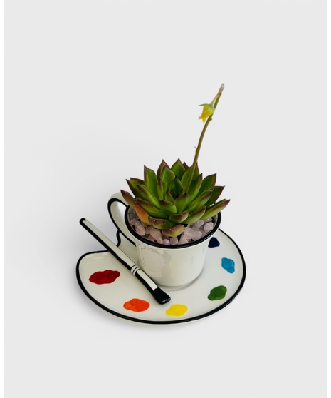 A ceramic paint palette saucer w/ teacup, planted with long lasting Echeveria. This set up also includes a brush shaped stirrer and box of 15 assorted teas. 