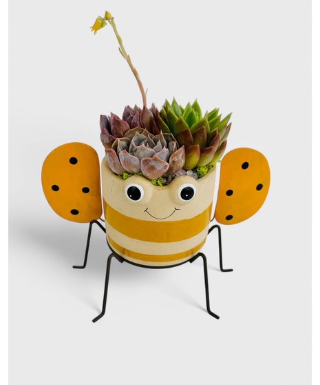Bee Happy Garden