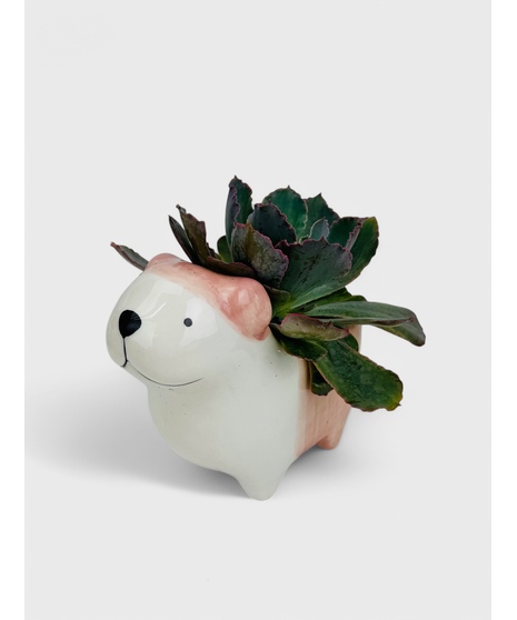 These adorable puppy succulent gardens are the perfect long lasting gift! 