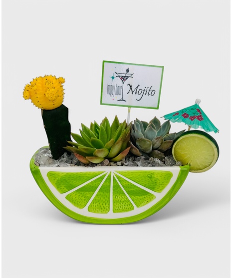 A bright citrus container planted with a long-lasting, succuulent garden. This 