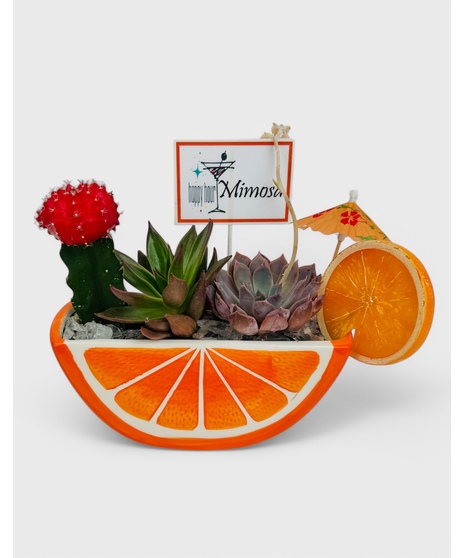 A bright citrus container planted with a long-lasting, succuulent garden. This 