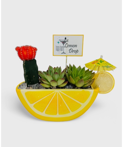 A bright citrus container planted with a long-lasting, succuulent garden. This 