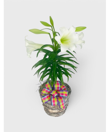 Sweet Easter Lily Basket