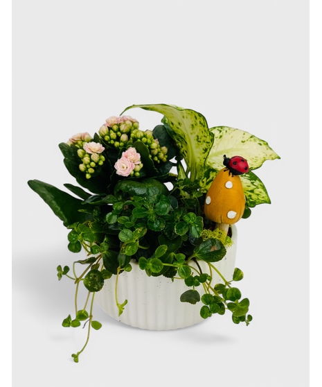 A ceramic planter with mixed green plants and a colorful flowering plant is the perfect place for your desk buddy to hang out.