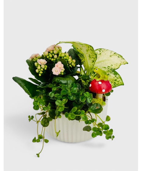 A ceramic planter with mixed green plants and a colorful flowering plant is the perfect place for your desk buddy to hang out.