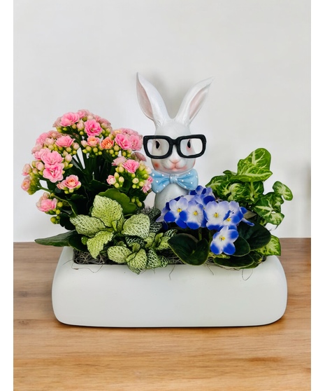 Curious Cottontail Dish Garden
