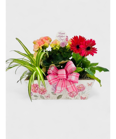 Happy Mother's Day Garden