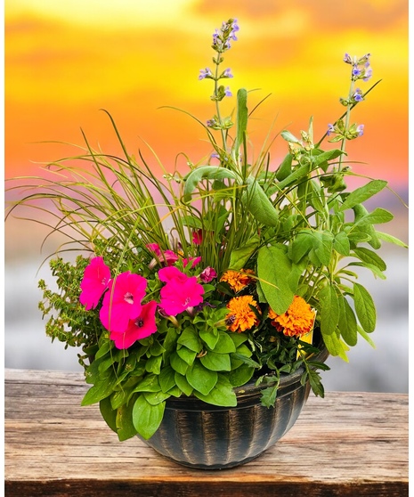 A beautiful planter filled with an assortment of outdoor spring flowers. A great way to brighten up the outdoors!