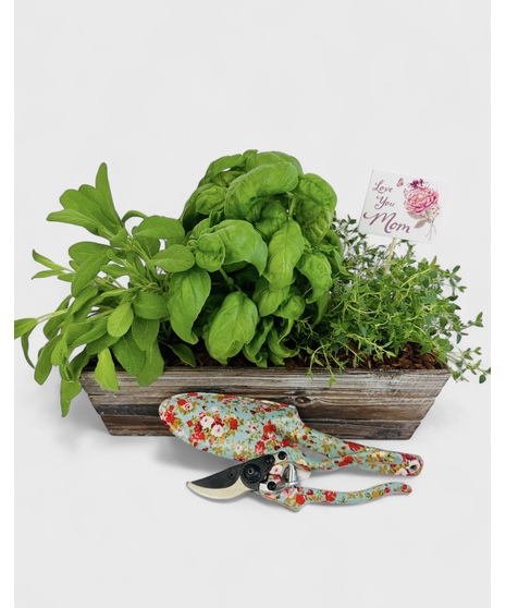 Herb Garden