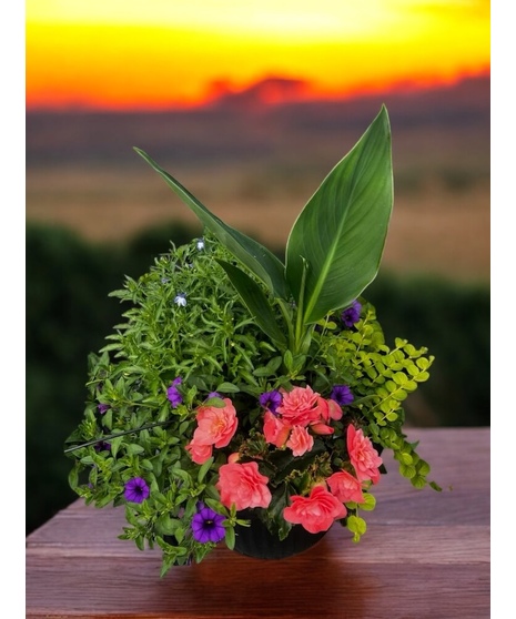 A sampling of summer plants in an all-around urn planter to brighten up the outdoors.