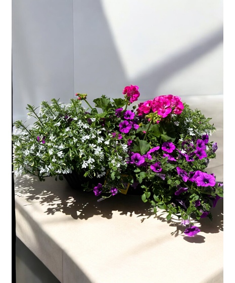 A sampling of summer plants in an all-around urn planter to brighten up the outdoors.