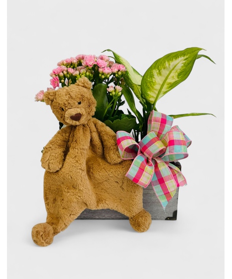 Sweet Baby Bear