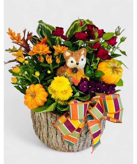 Welcome Fall!