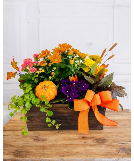 Bountiful Basket