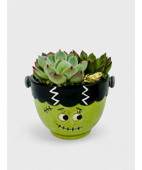 A ghoulish Frankenstein ceramic planter filled with long lasting succulents is the perfect seasonal spooky garden. 