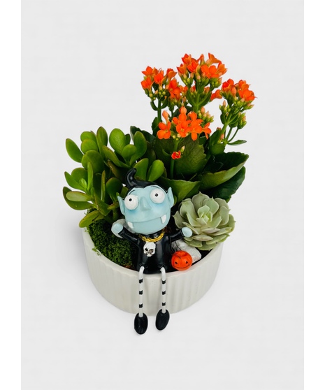 Sink your fangs into this hauntingly beautiful succulent garden