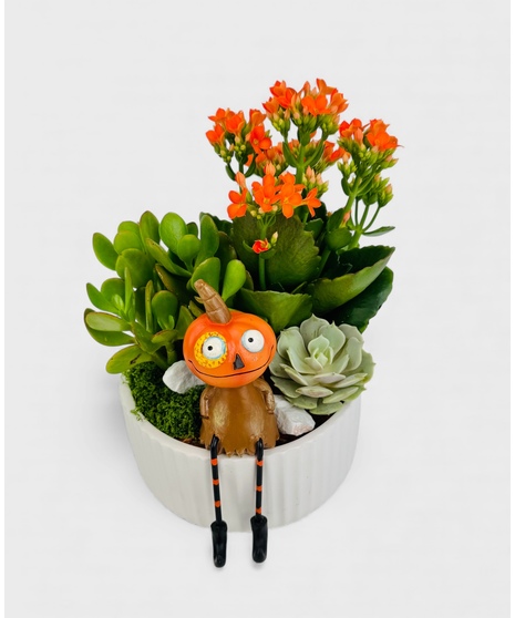 Sink your fangs into this hauntingly beautiful succulent garden