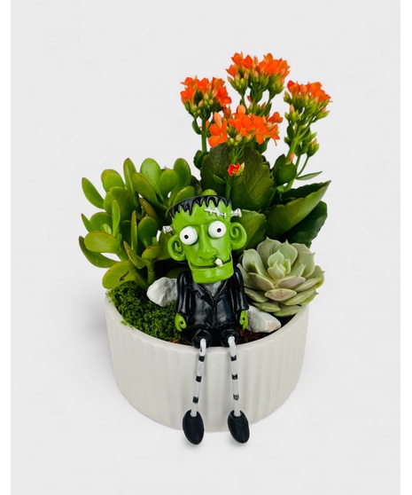 Sink your fangs into this hauntingly beautiful succulent garden