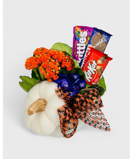 Trick or Treat Pumpkin