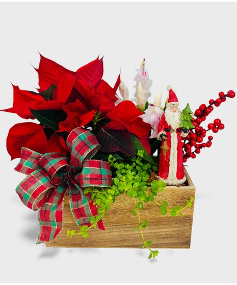 The Spirit of Christmas Garden