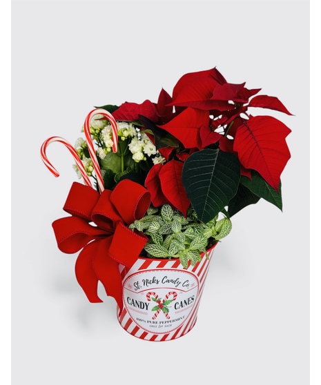 St. Nicks Candy Garden