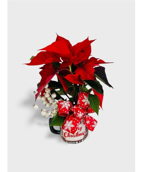 A hostess gift or gift for a friend to show them how much you care! 