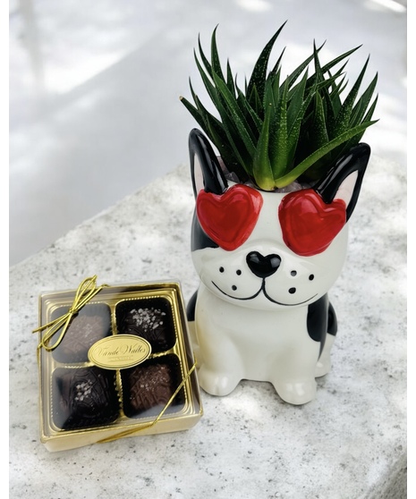 Fall head over paws this Valentine’s Day with this heart-stealing Frenchie dog planter.