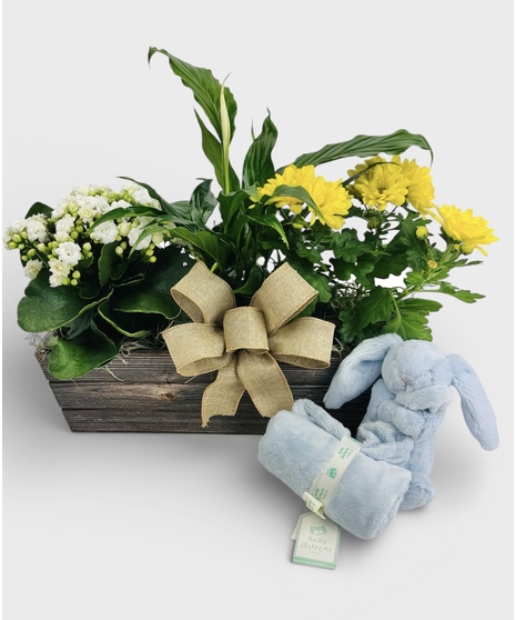 Sweet Baby Bunny from Stadium Flowers is a charming and tender gift that captures the innocence and gentle joy of a new beginning.