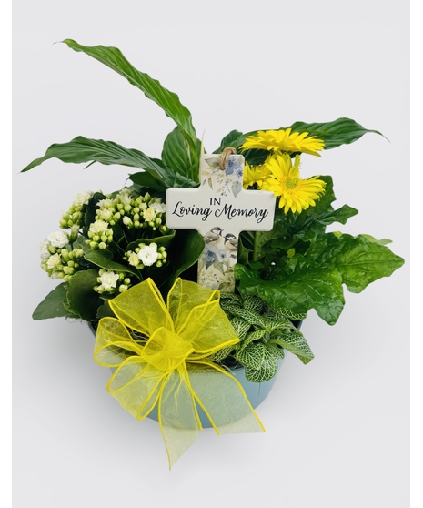 Sunrise Memorial Garden