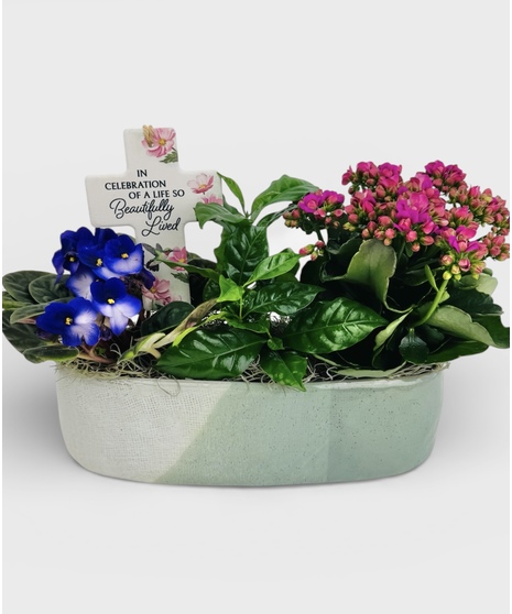 Celebration of Life Garden