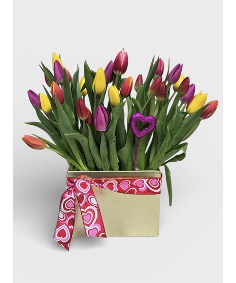Tantalizing Tulips