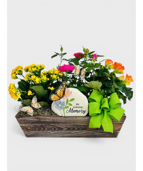 Butterfly Memory Garden