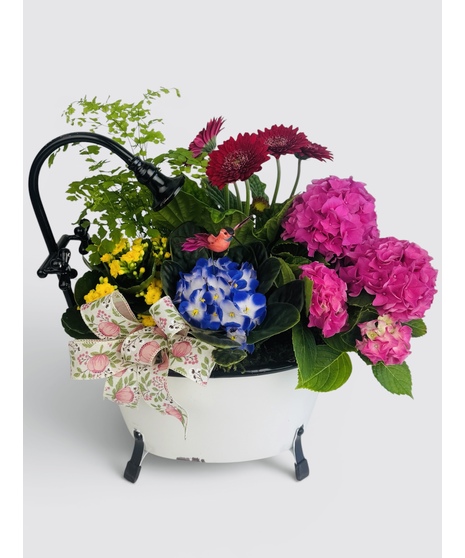  Treat Mom to a moment of relaxation with this charming bath tub dish garden, designed to feel like a peaceful garden escape. 