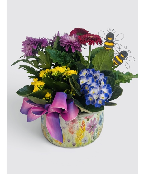 Mom's Sweet Bee Garden