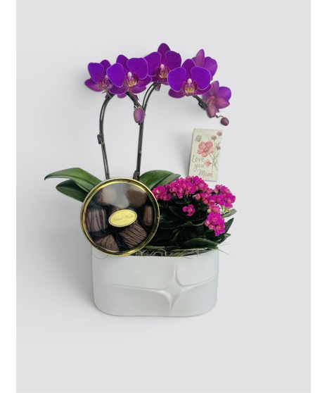 Clean, elegant, and effortlessly beautiful, this garden brings together a graceful orchid,and a vibrant kalanchoe in a sleek white ceramic planter.