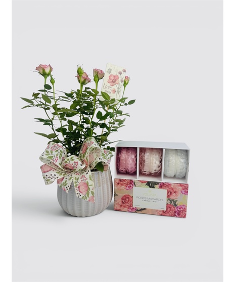Roses & Candles
