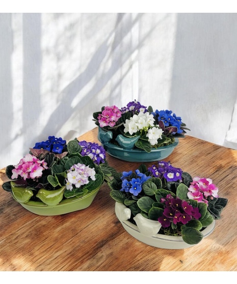 Birdbath Violet Garden