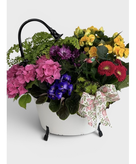  Treat Mom to a moment of relaxation with this charming bath tub dish garden, designed to feel like a peaceful garden escape. 
