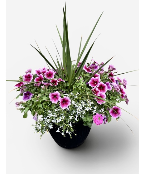 Summer Outdoor Porch Planter