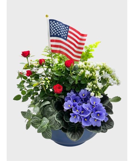 Red, White & Blue Garden