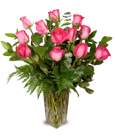 Pink Roses