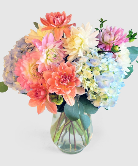 Pleasant Dahlias