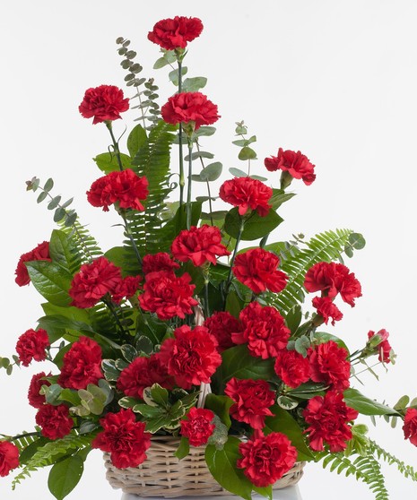 Red Carnation - Floor Basket