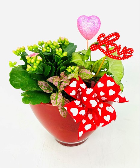 Let your love bloom with this easy care, festive dish garden! 